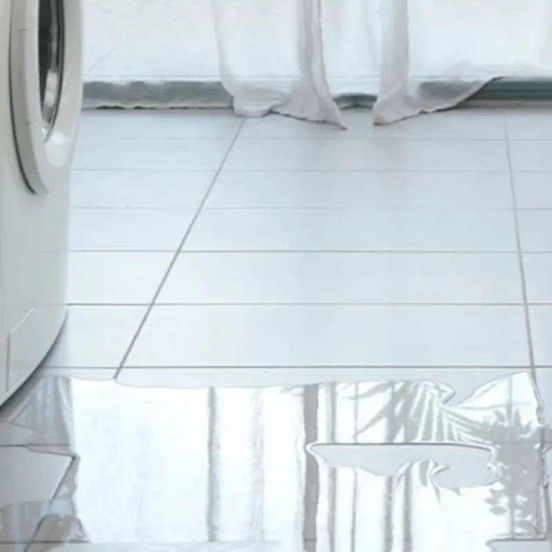 Appliance Leak Cleanup in Morton, PA