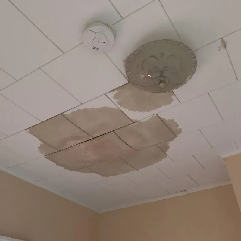 Ceiling Water Damage Repair in Morton, PA