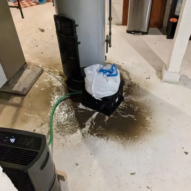 Sewage Backup Cleanup Service in Morton, PA